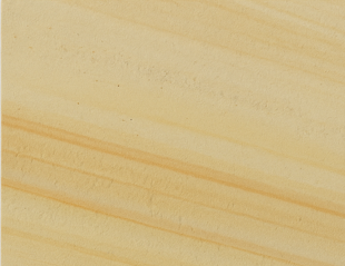 Fossil Mint Sandstone